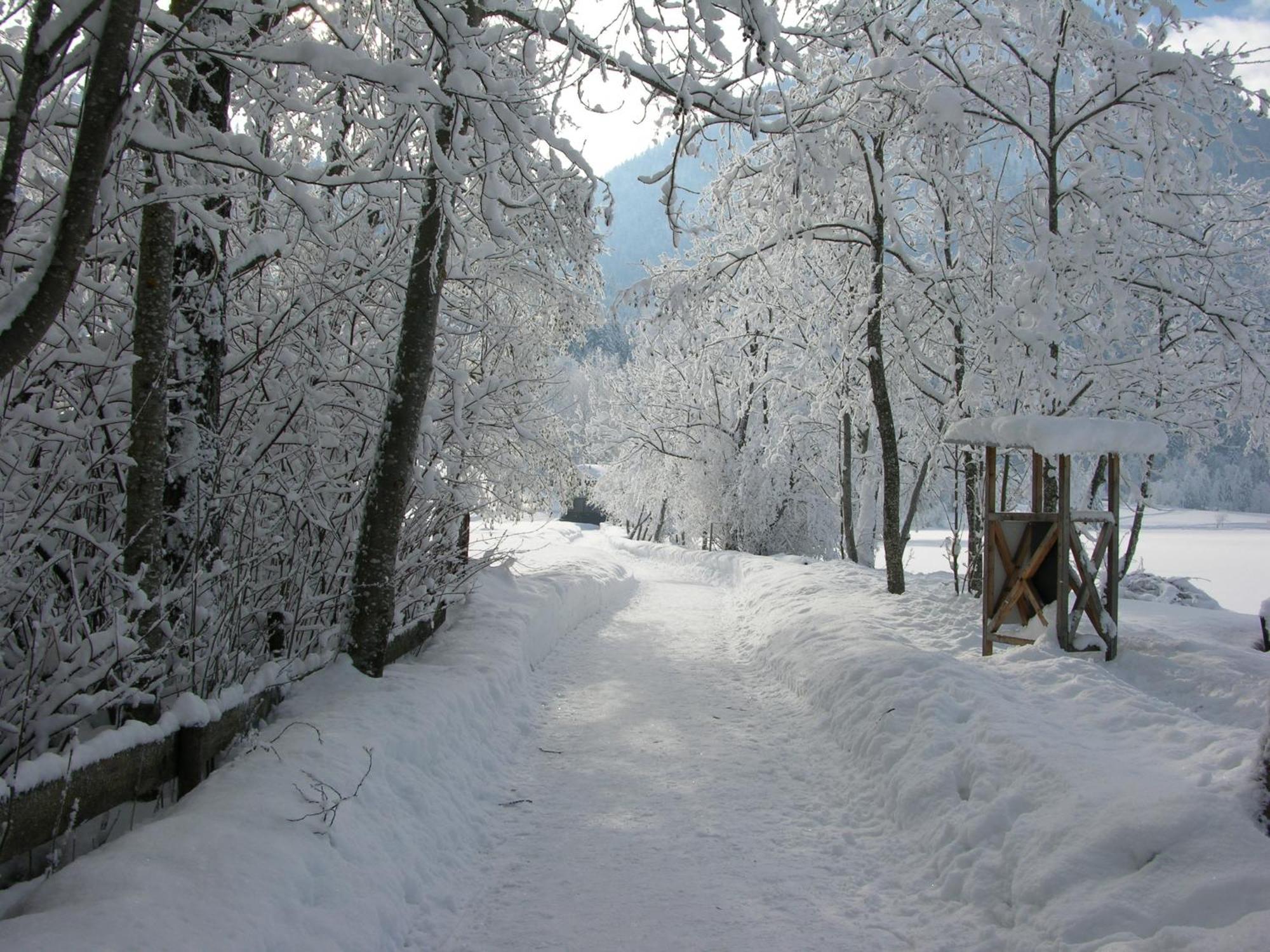 Haus Seeblick Am See Thiersee Buitenkant foto